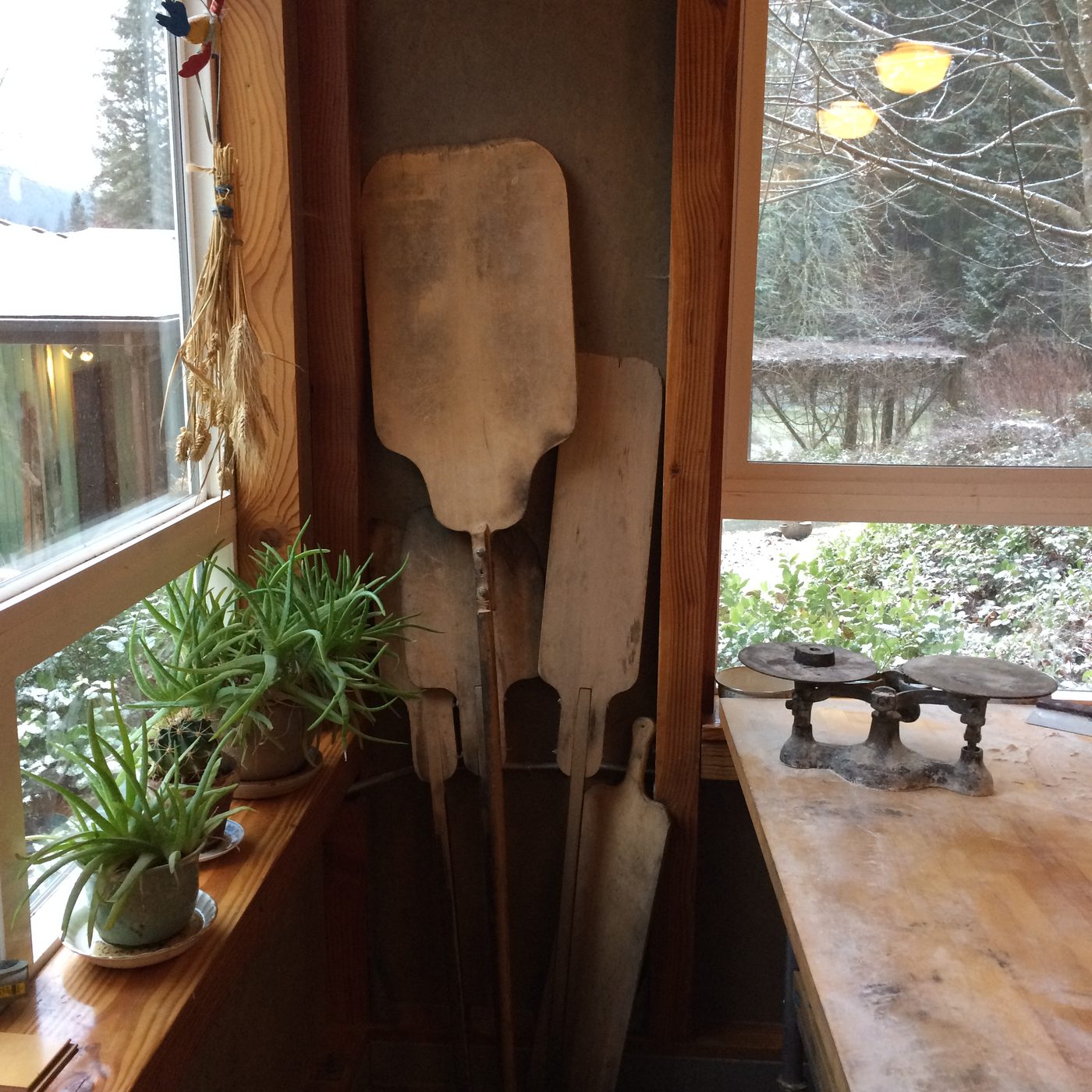 Wooden bread peels hanging in a light-filled bakehouse beside a window.